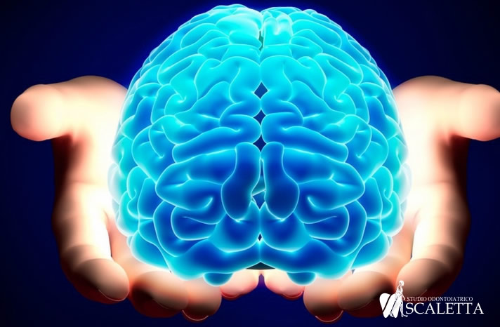 La masticazione mantiene la funzione cognitiva nell'Ippocampo