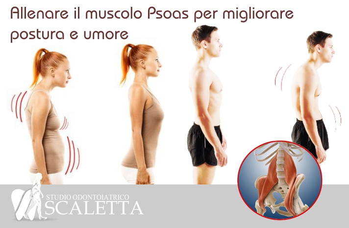 Il muscolo ileo-psoas influenza il nostro umore