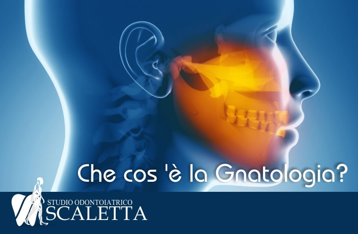 Che cos 'è la Gnatologia?